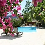 βασιλιάς νικοκλής 4*