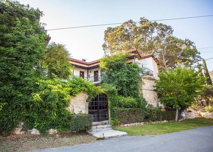 Vasilias Nikoklis イン