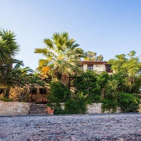 Vasilias Nikoklis 4* Никоклия